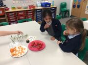Autumn Outcome 4
